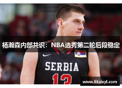 杨瀚森内部共识：NBA选秀第二轮后段稳定